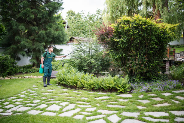 Best Aeration Services  in Pembroke Pines, FL